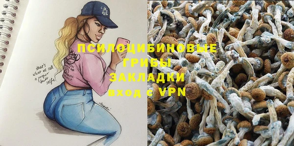 бошки Бронницы