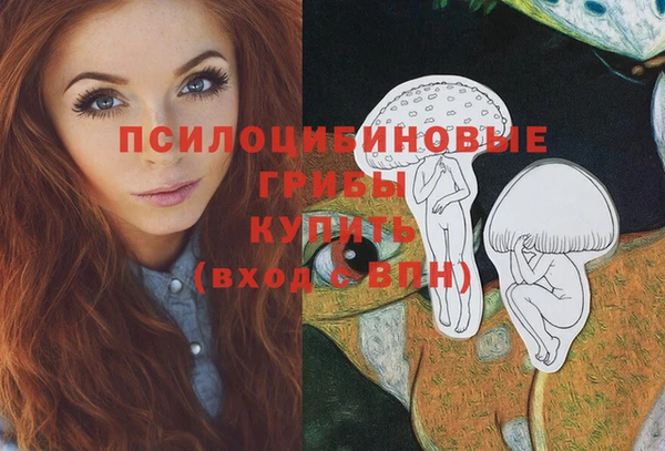 бошки Бронницы