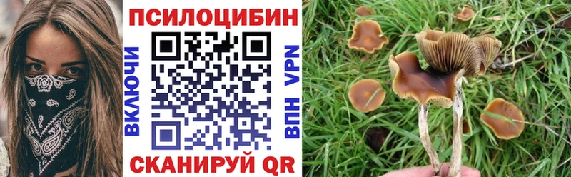 Псилоцибиновые грибы Psilocybine cubensis  Долинск 