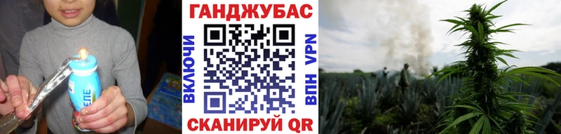 OMG вход  Долинск  Конопля Ganja 